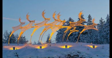 Viaje a la Laponia finlandesa en invierno