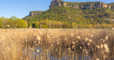 Serranía de Cuenca
