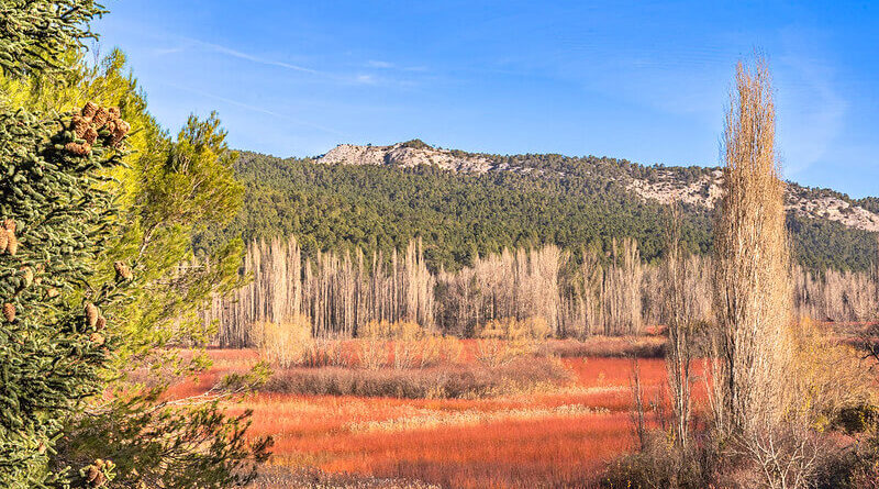 Ruta del mimbre en Cuenca