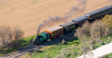 El Tren de Arganda: un viaje al Madrid de hace un siglo