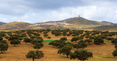 Ruta del Vino y Cava Ribera del Guadiana: un viaje entre historia, vino y experiencias inesperadas