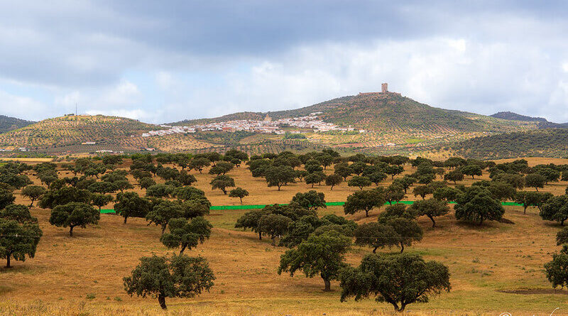 Ruta del Vino y Cava Ribera del Guadiana